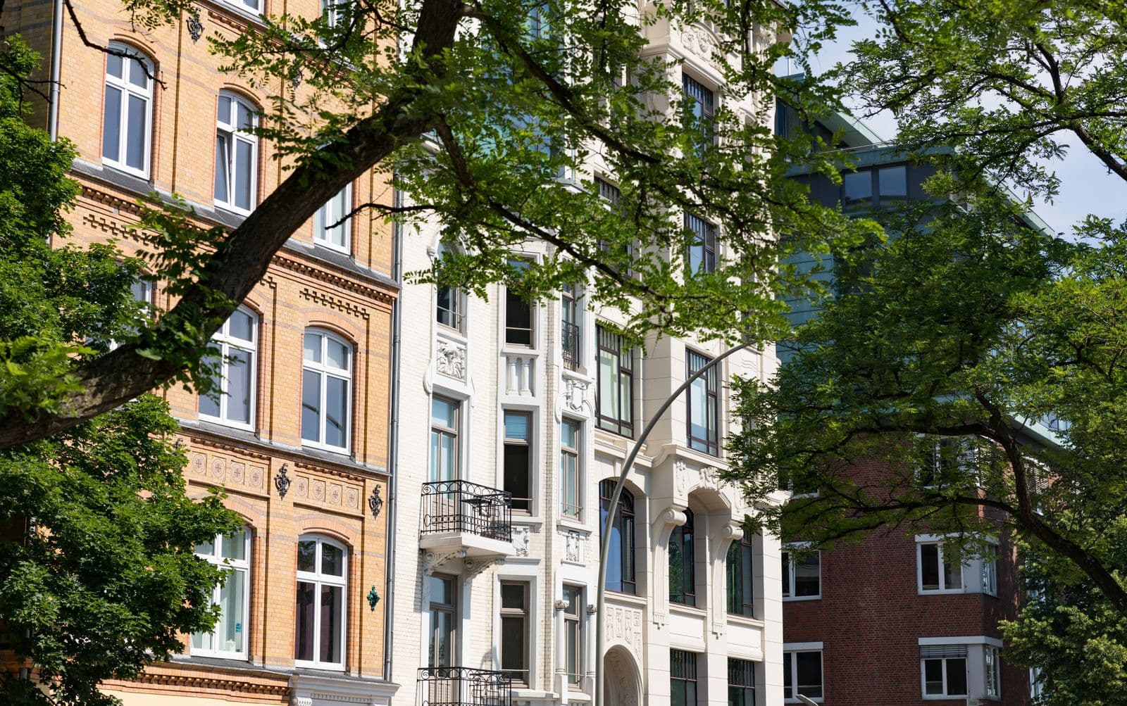 Altbaufassaden hinter Straßenbäumen